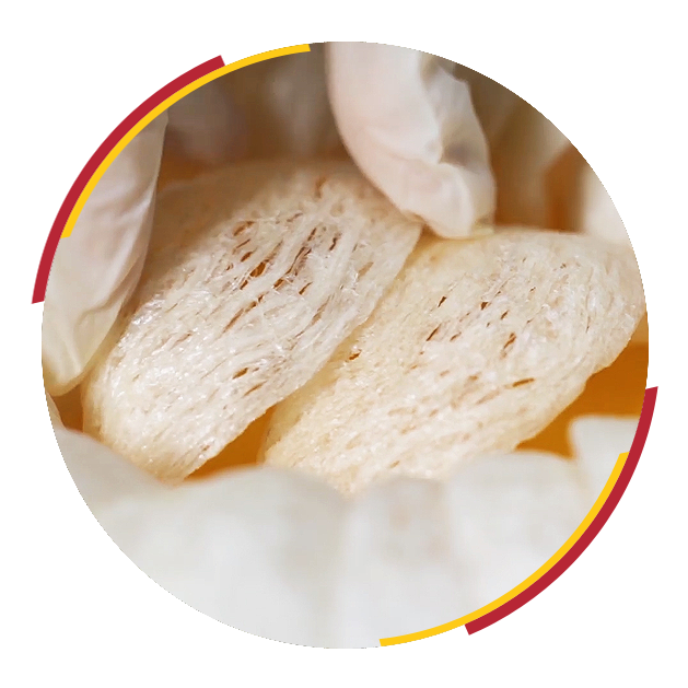 Premiumlogy Bird Nest Berhad